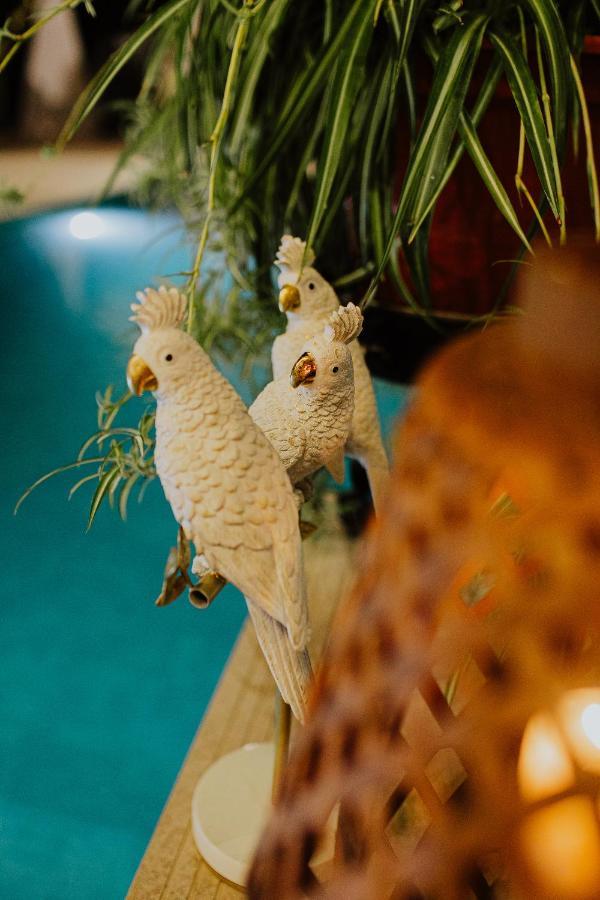 El Jardin De Gala Villa Castejon de Monegros ภายนอก รูปภาพ