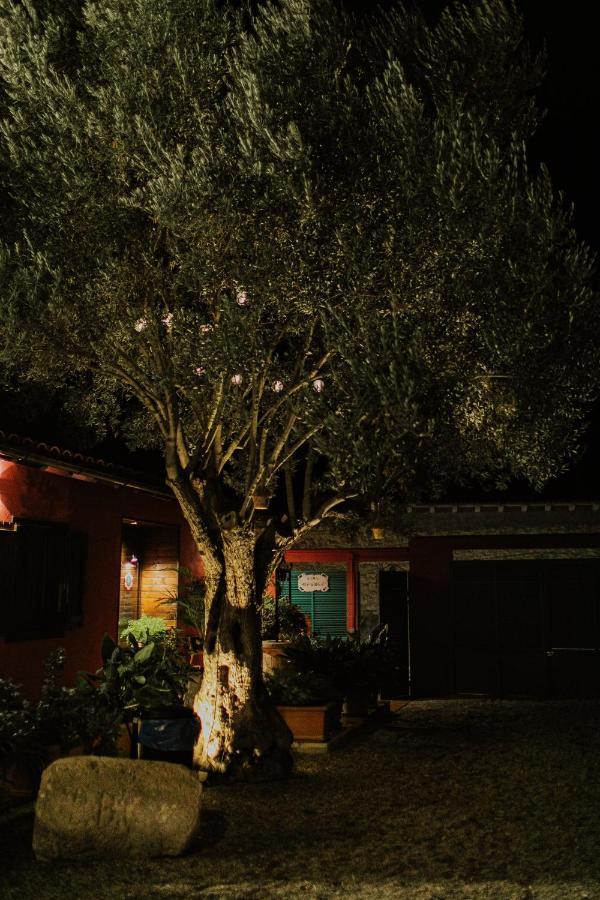 El Jardin De Gala Villa Castejon de Monegros ภายนอก รูปภาพ