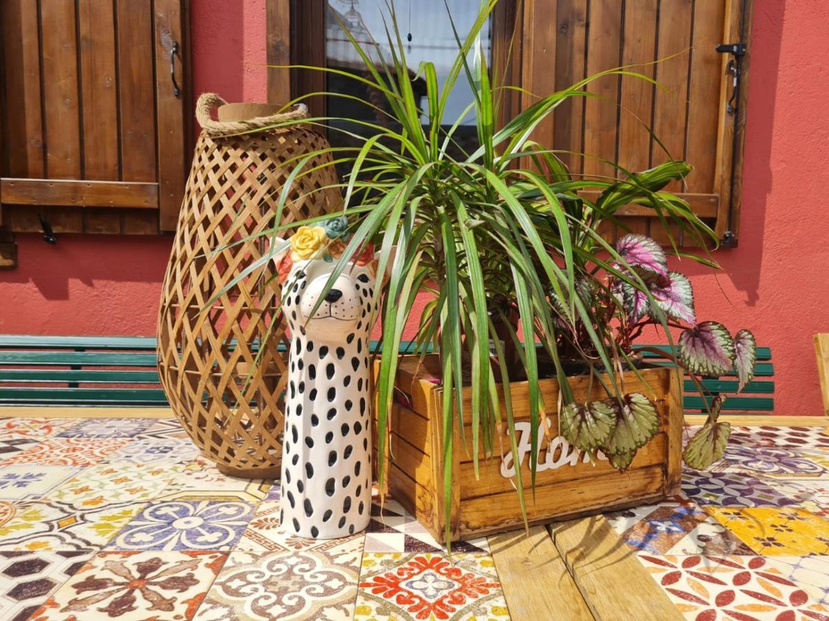 El Jardin De Gala Villa Castejon de Monegros ภายนอก รูปภาพ