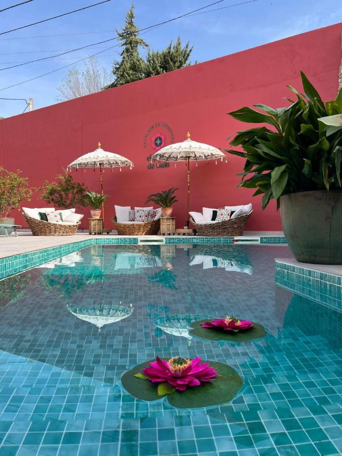 El Jardin De Gala Villa Castejon de Monegros ภายนอก รูปภาพ